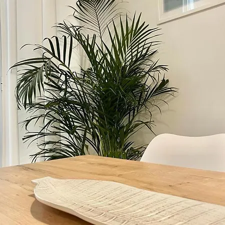 Tres Lunas Apartamento Sanlúcar de Barrameda